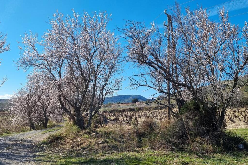 Gite De La Confluence Padern Dış mekan fotoğraf